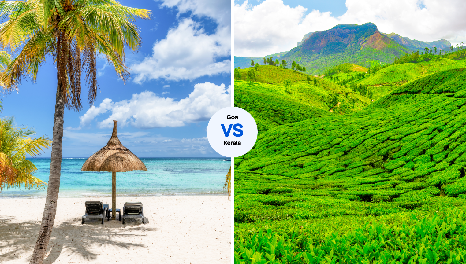 Goa vs Kerala: which coastal Indian state ought to vacationers choose?